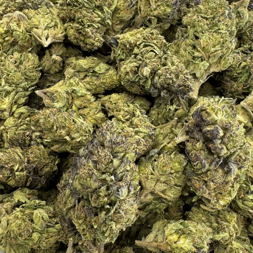 
                  
                    Jokerz - Dep THCA Flower
                  
                