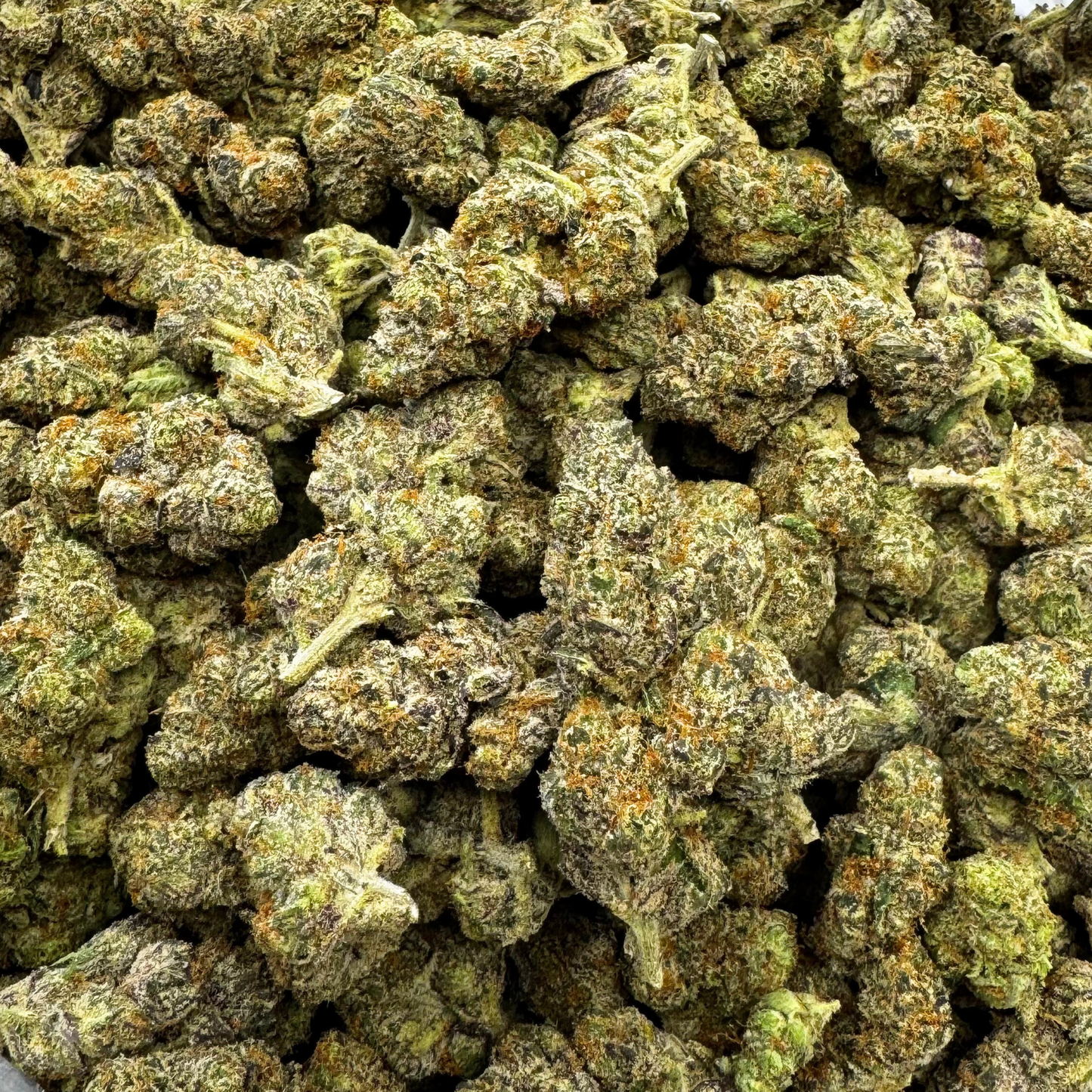 
                  
                    Crescendo - Exotic Indoor THCA Flower
                  
                