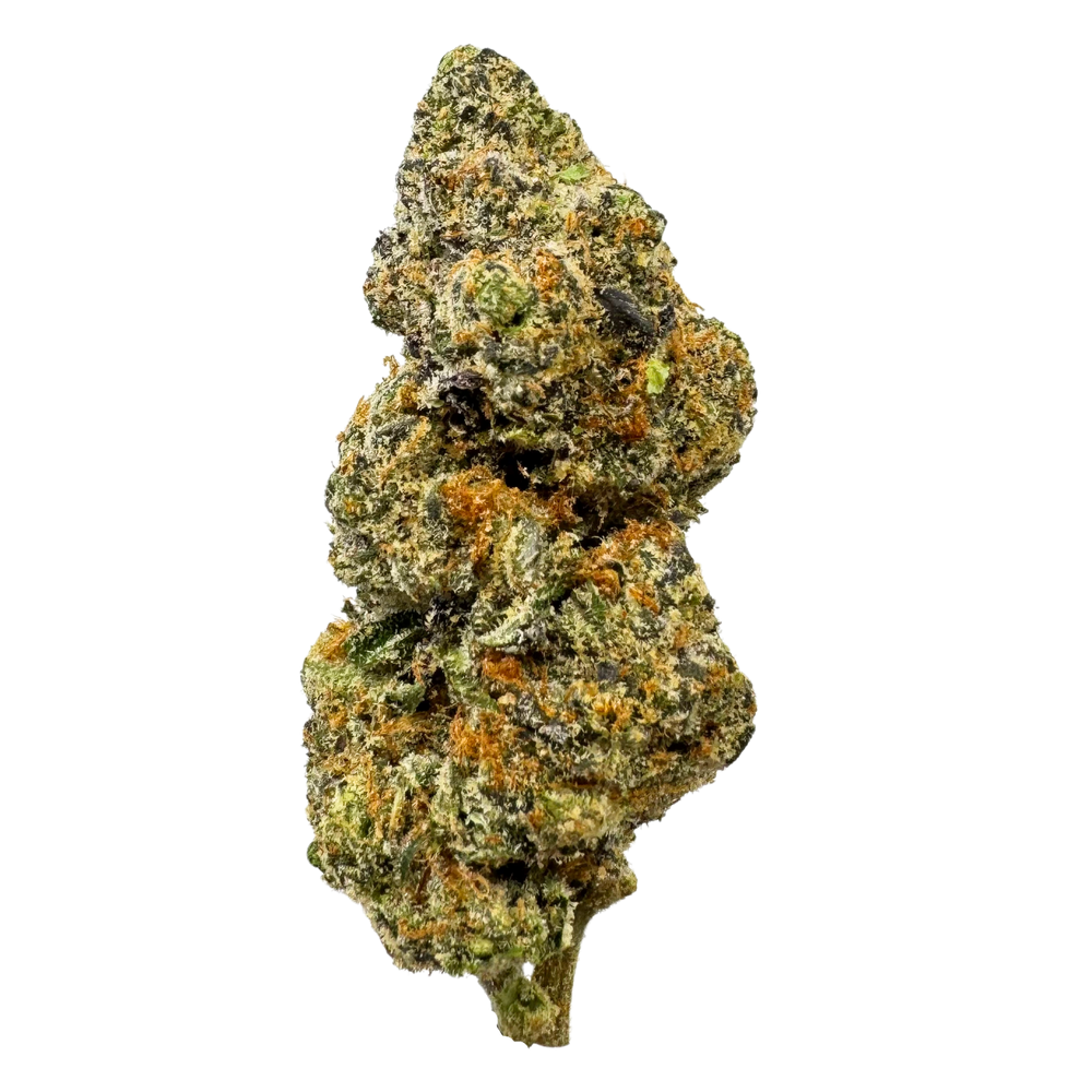 Crescendo - Exotic Indoor THCA Flower