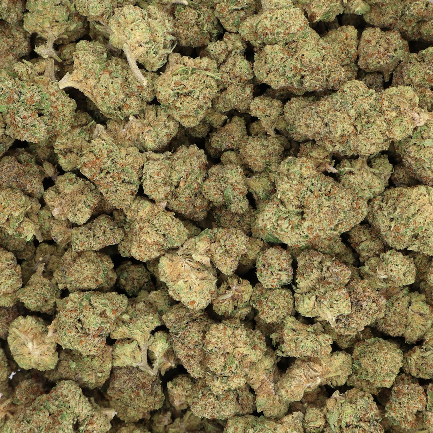 
                  
                    Dosi X Gelato - Dep THCA Flower
                  
                