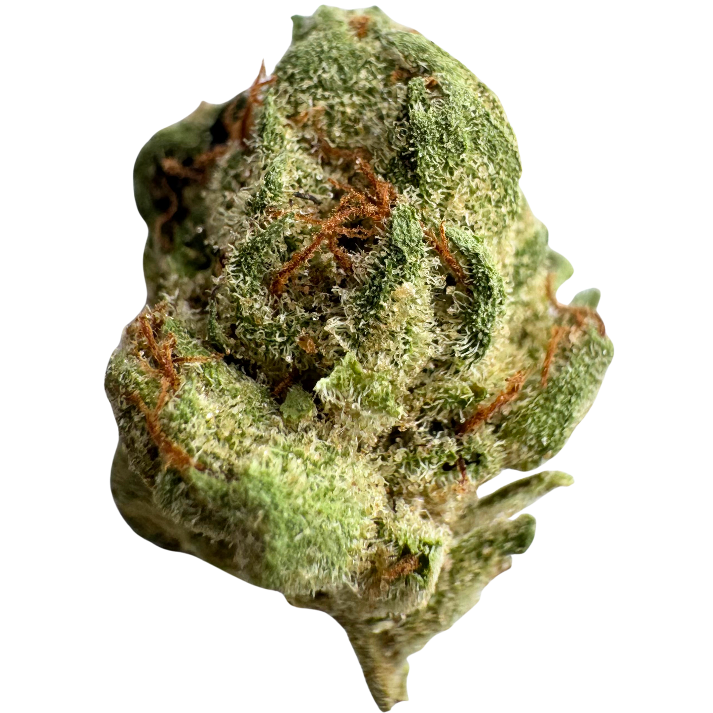 
                  
                    G41 - Smalls - Deps THCA Flower
                  
                