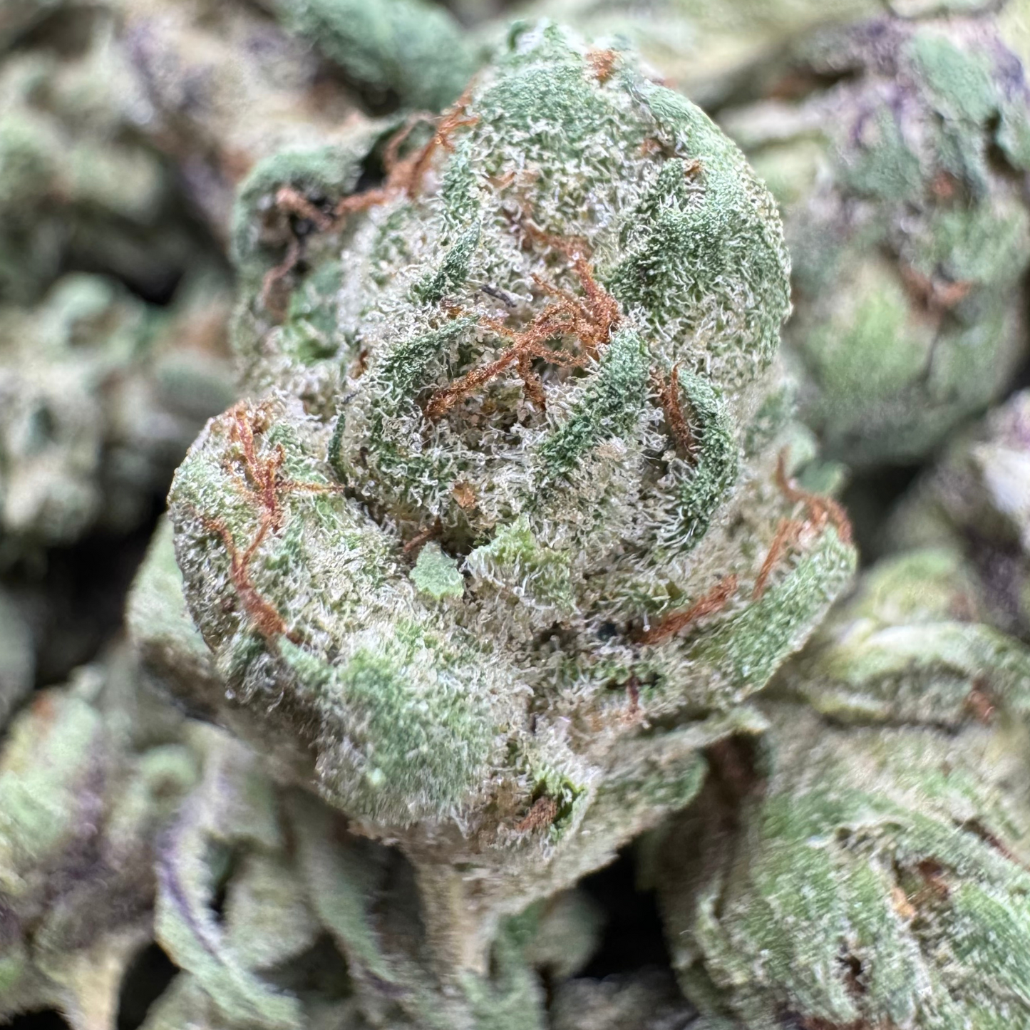 
                  
                    G41 - Smalls - Deps THCA Flower
                  
                