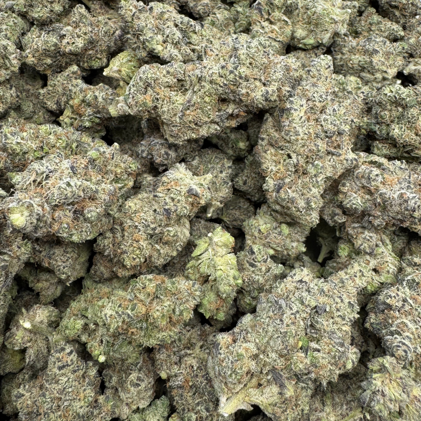
                  
                    Gush Mintz - Exotic Indoor THCA Flower
                  
                