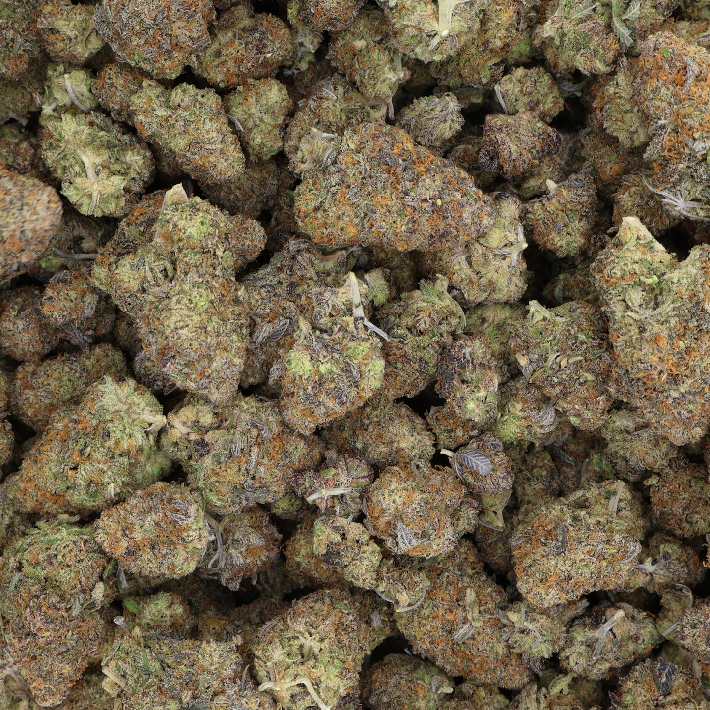 
                  
                    Lemon Cherry Gelato - Exotic Indoor THCA Flower
                  
                