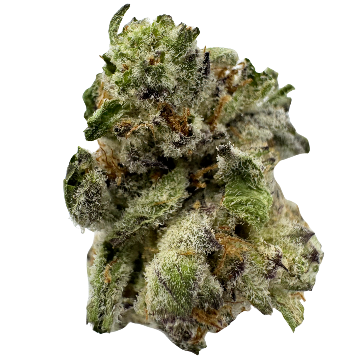 
                  
                    Purple Push Pops - Smalls - Exotic Indoor THCA Flower
                  
                