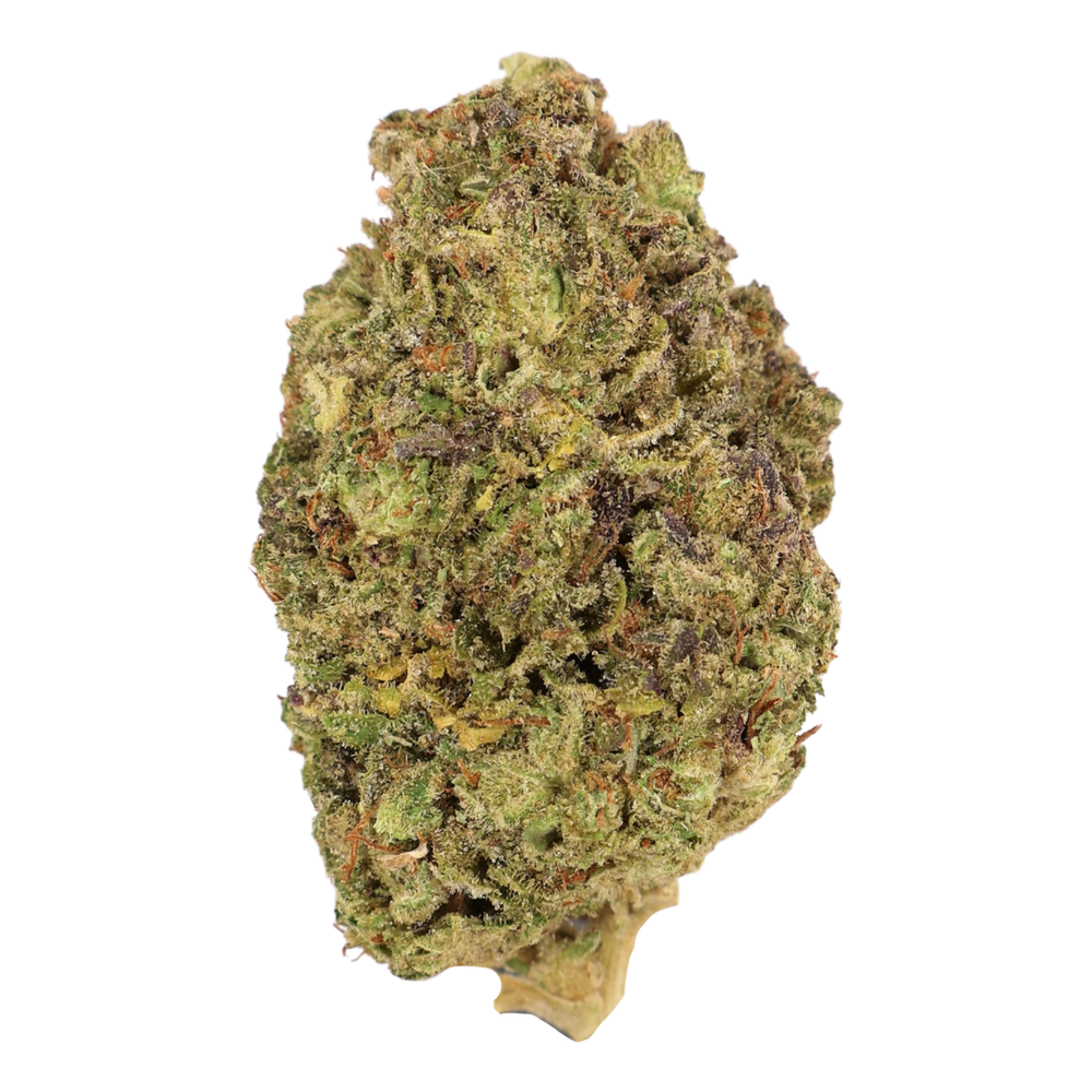 Sashimi - Dep THCA Flower